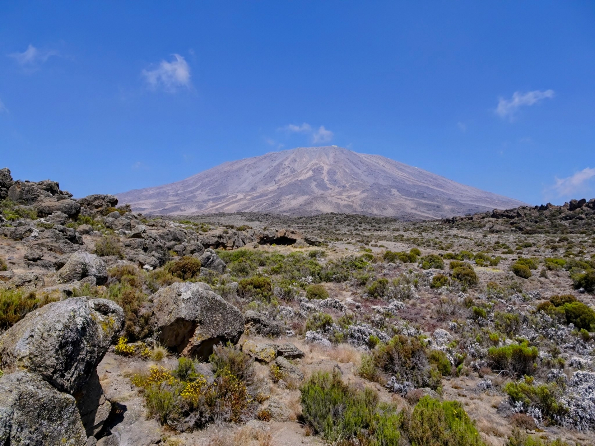 タンザニア・キリマンジャロ