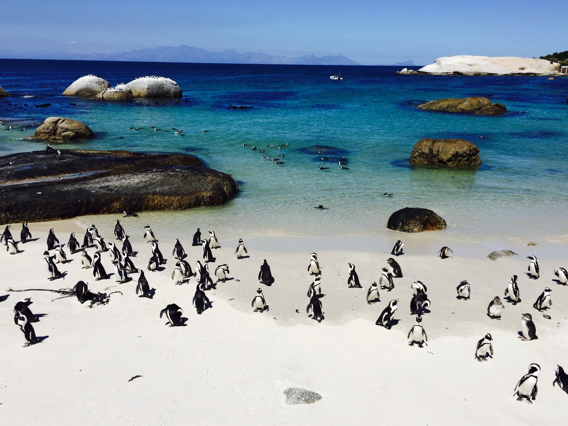 南アフリカ・ケープタウン