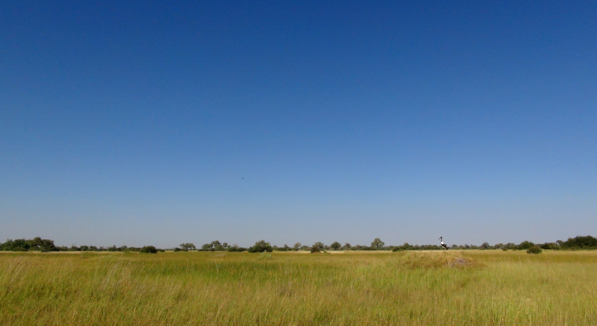 ボツワナ・オカバンゴ・デルタ