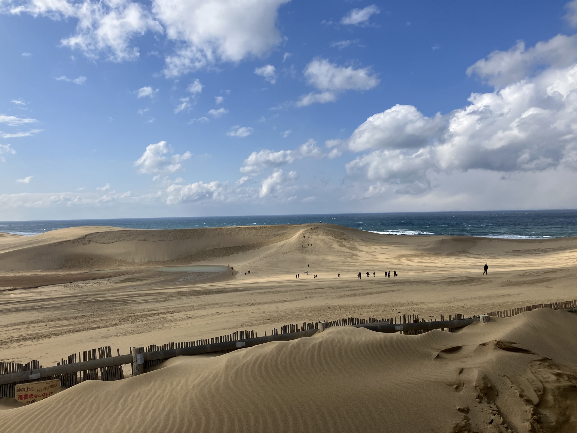 鳥取・鳥取砂丘・日本海